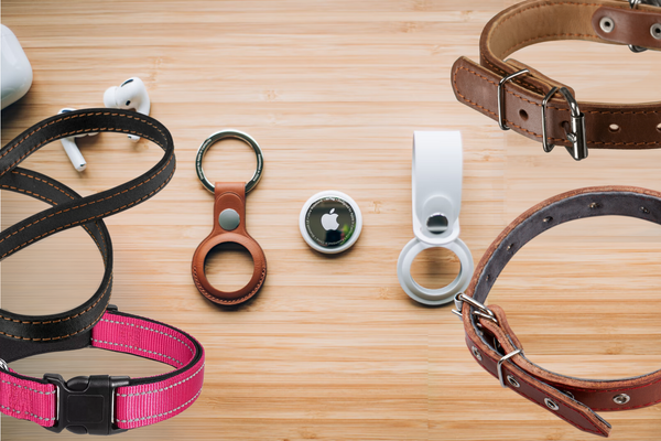 Best Airtag Dog Collar Holder: Top 5 Airtag Holders for Tracking Your Canine Companion