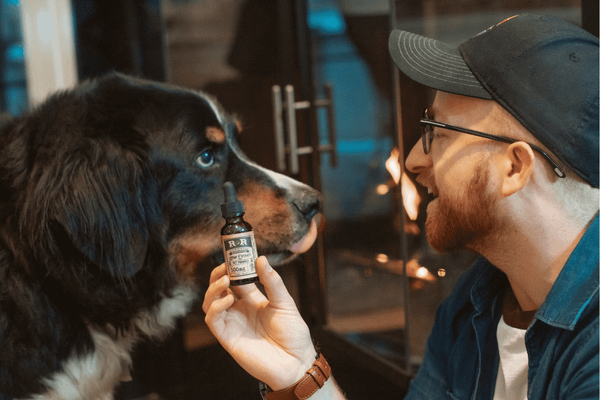 Put Your Dog's Health First: The Best Dog Biotin Supplements To Try!