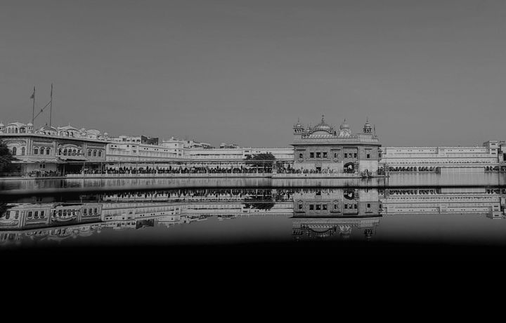 Panthic Trauma: From Healing to Thriving