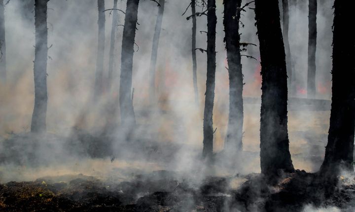 Beadbi Incident Response: Mitigating Our Failure to Prevent