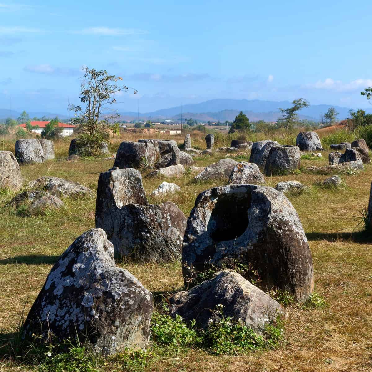Das ökologische Experiment – ​​eine 2000-jährige Entstehungsgeschichte