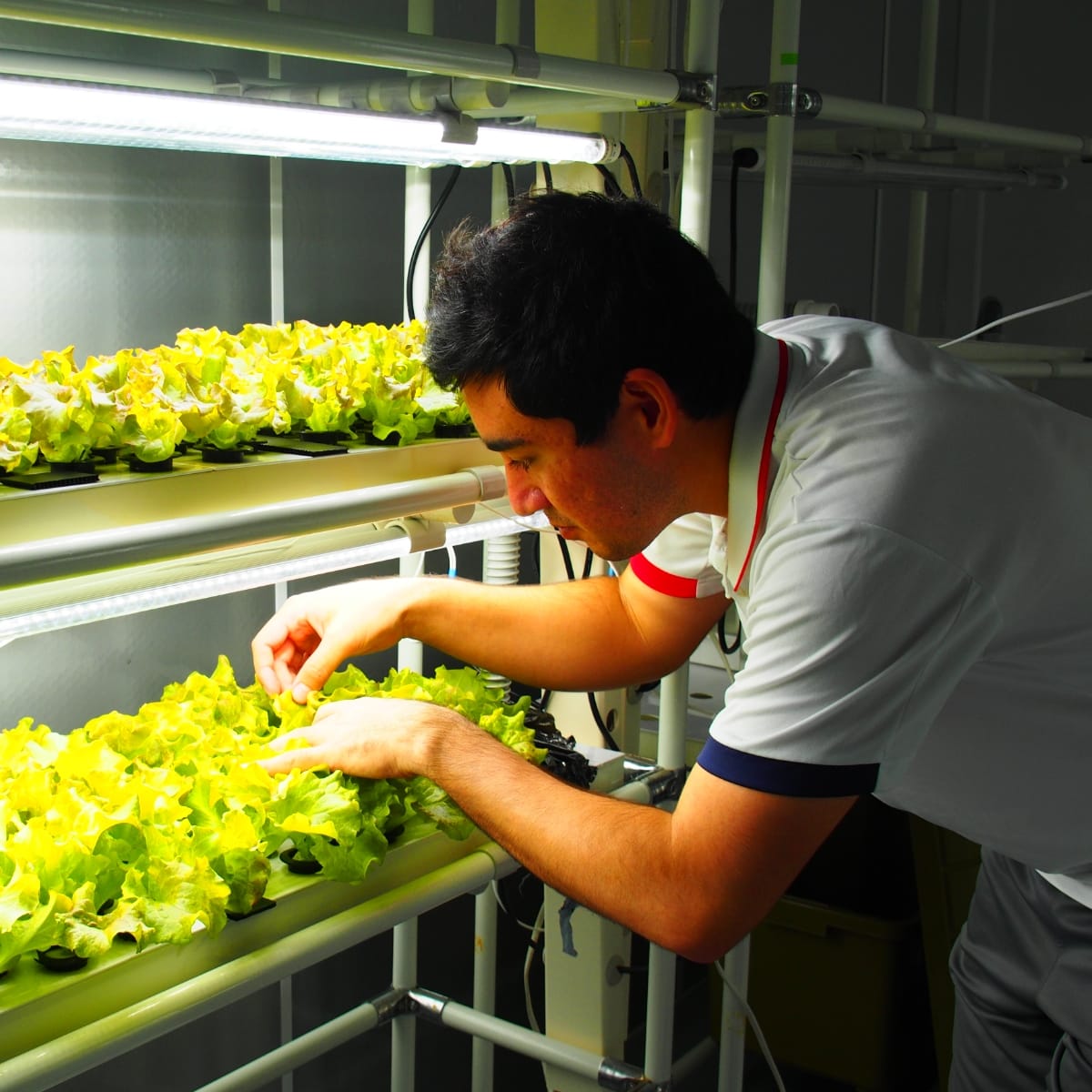 Christopher Levine: „Pflanzenforschung ist selten unkompliziert“