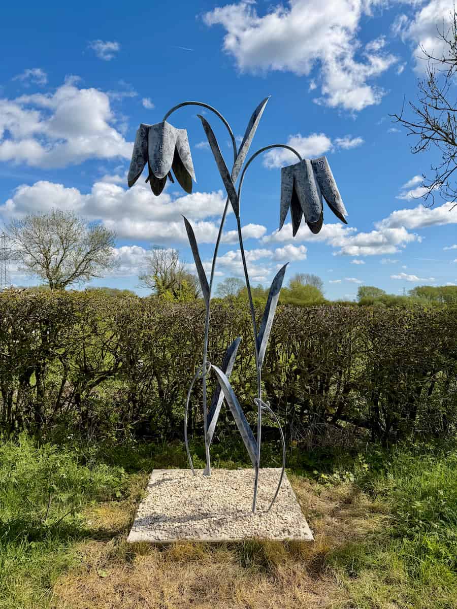 A metal sculpture of two Snake's Head Fritillaries, twice the size of a person, or a least some of the people who came to look at them.