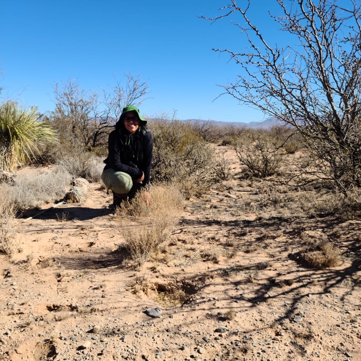Adriana Romero-Olivares: "Os fungos são ao mesmo tempo carismáticos e misteriosos"
