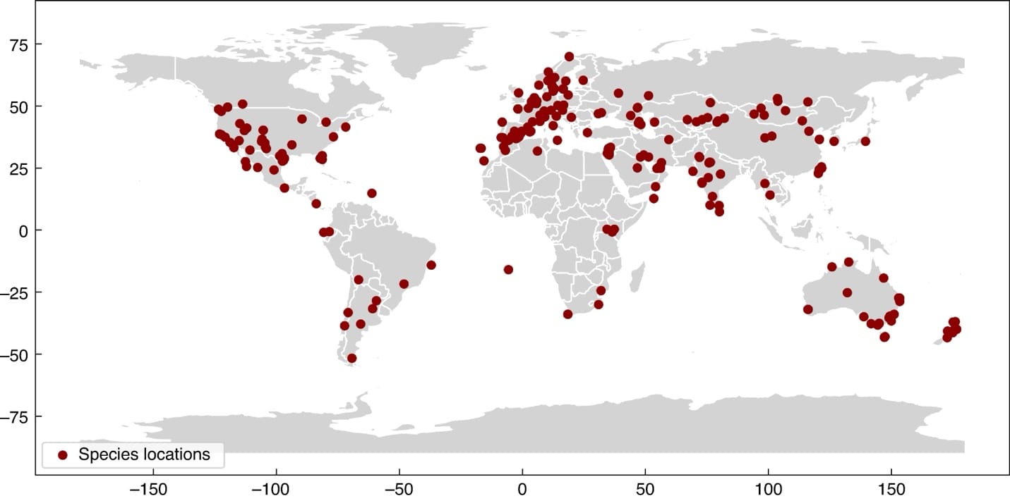 Global distribution of species included in the study. Each point represents a species occurrence based on georeferenced records. The dots refer to the location where the respective species were sampled.