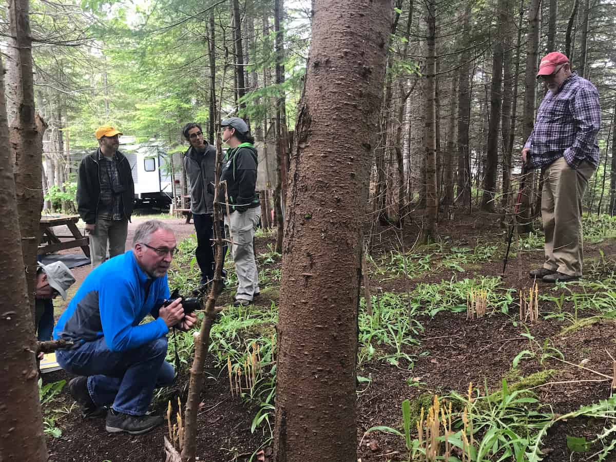People gathered around a tree with scientific equipment, including cameras, to examine the orchids at its base.