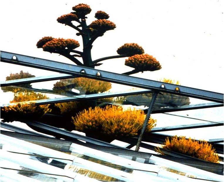 Grandes escapes (continuación)