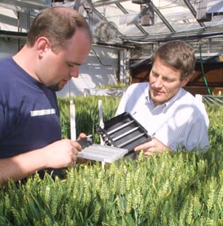 Canopy photosynthesis model with acclimation of protein distribution