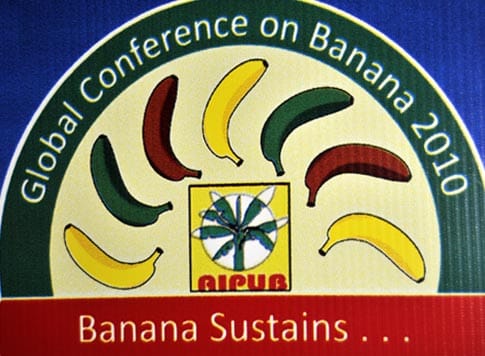Banana sustains … for nutrition, for livelihoods and for the environment