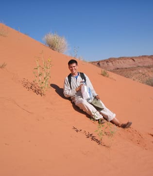 Sunflower nitrogen-stress response and gene expression Sunflower nitrogen-stress response and gene expression