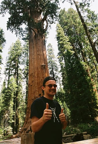 Looking for things to like