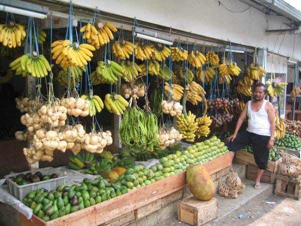 Bananes à vendre