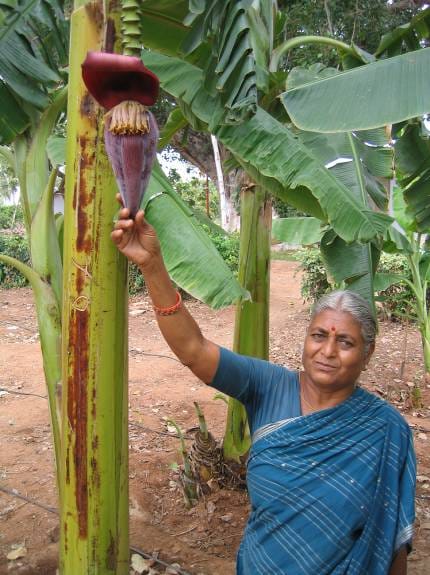 Femme avec une banane exotique