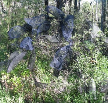 Inbreeding and outbreeding depression in Grevillea