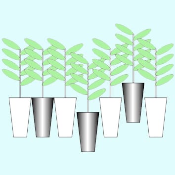 Regulación del crecimiento en altura en un stand lleno de gente