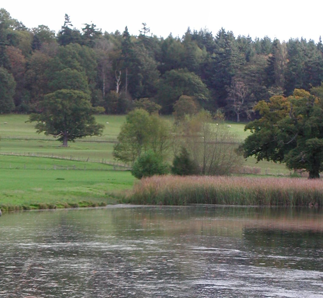 Lecho de Juncos, Herefordshire