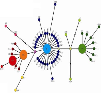 Phylogeography of Anatolia: Pleistocene to present