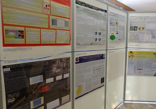 Pre-breakfast viewing avoids the crowds at the posters