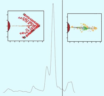 Assessing uncertainty in functional–structural models
