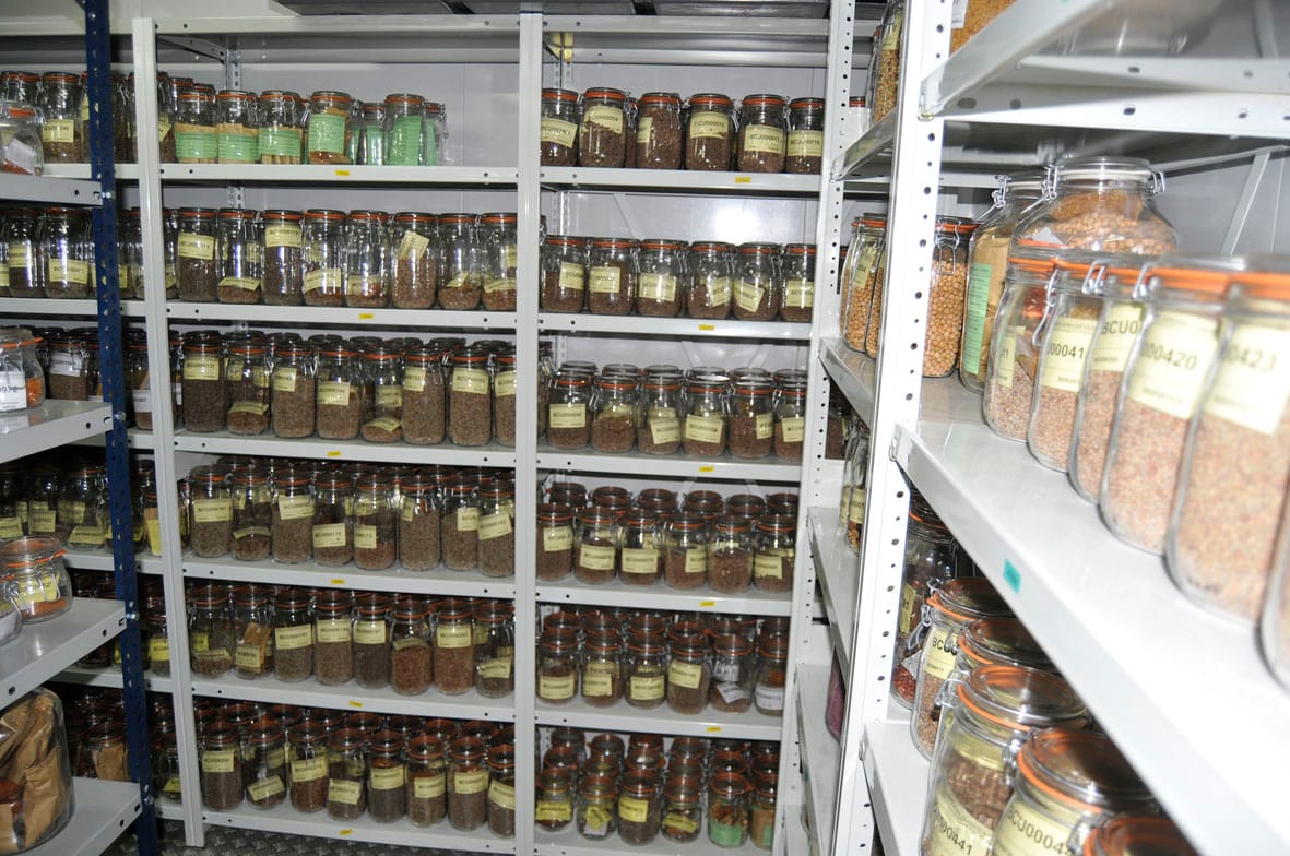 Education and Research of Plant Breeding for the 21st Century