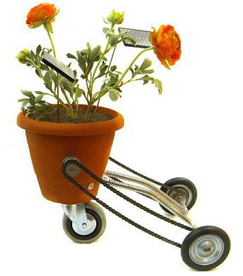 A Christmas Trilogy, Part 2: From Christmas Past to Christmas present…