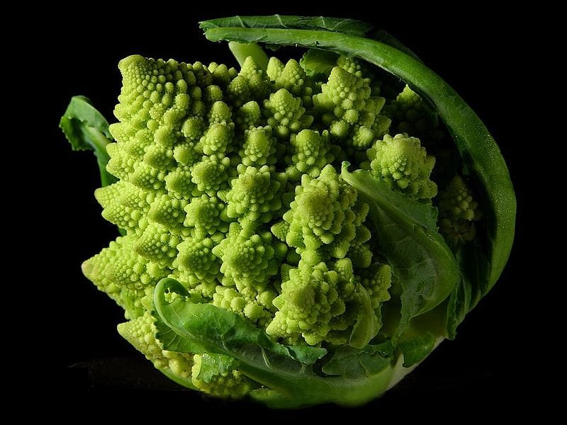 Image de brocoli&nbsp;: Jon Sullivan/Wikimedia Commons