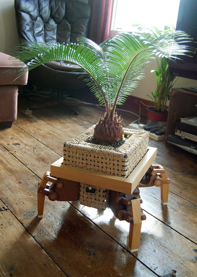 Plantbot Image: The Play Coalitio