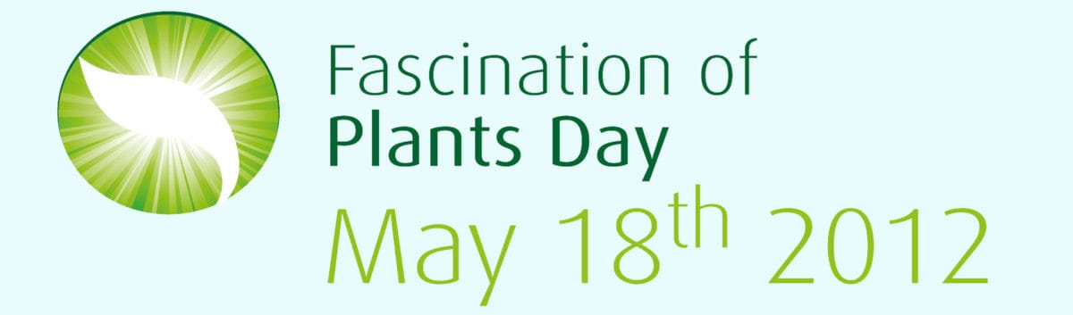 Fechas para tu diario