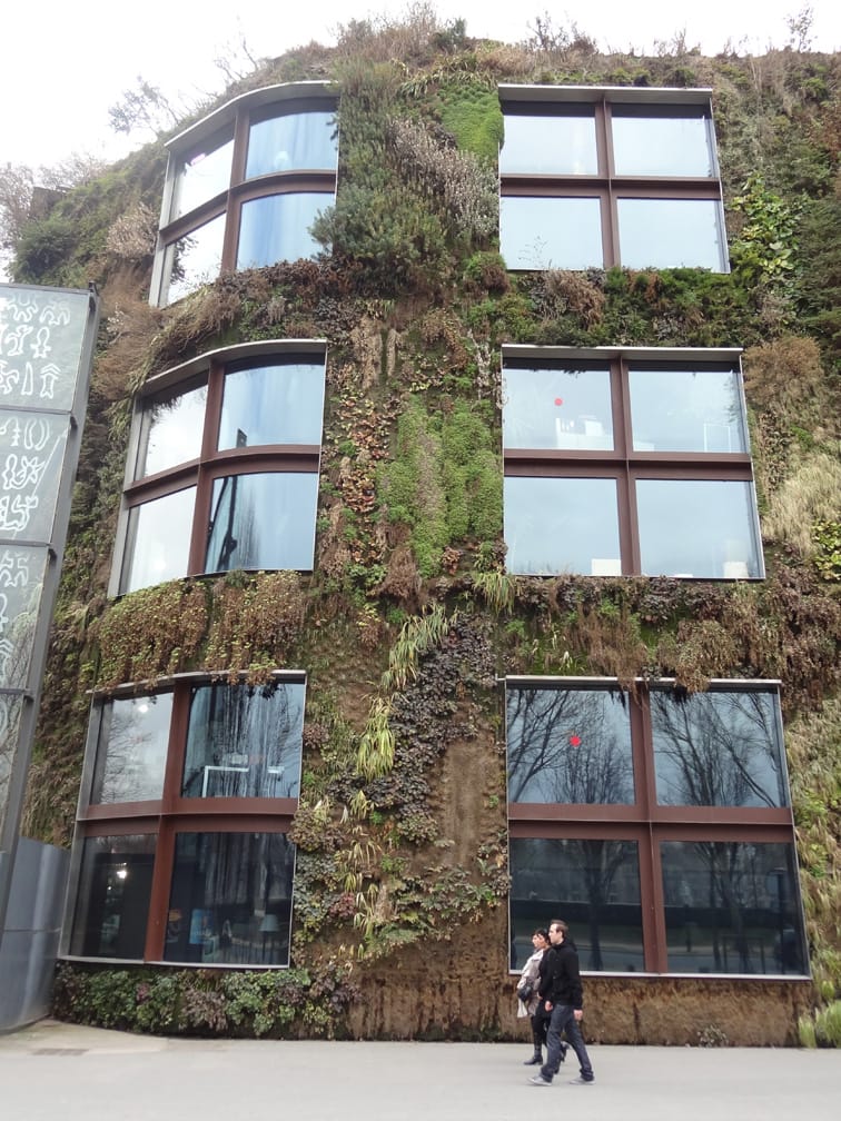 Muros vegetales, arte y mejora de nuestro entorno