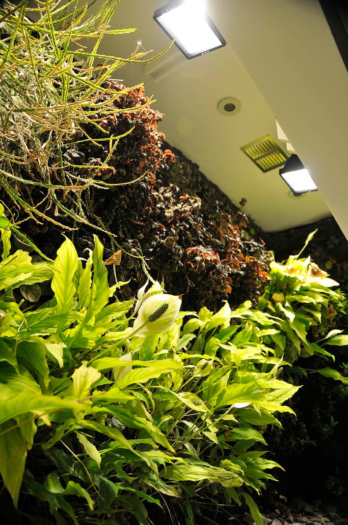 Iluminación y ventilación para un living wall interior