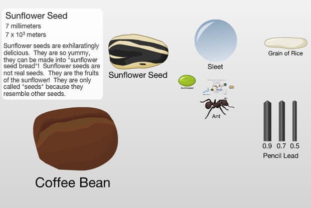 Image: Gary &amp; Michael Huang, http://htwins.net/scale2/