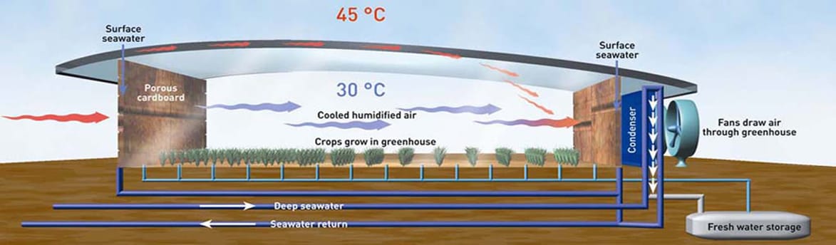 Thinking inside the box