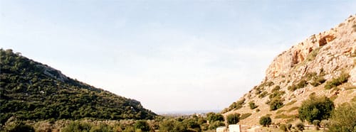 La rizosfera de cebada silvestre en Evolution Canyon