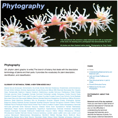 Botanical Word of the Day