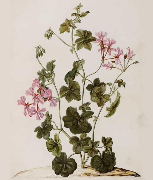 A blooming marvellous innovation