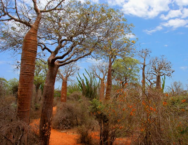 Image: Jialiang Gao, Wikimedia Commons.