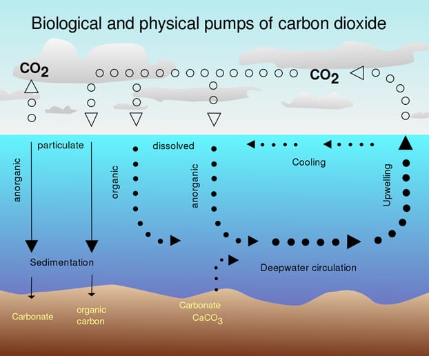 That sinking feeling…