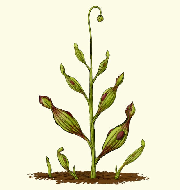 Waste not, want not…