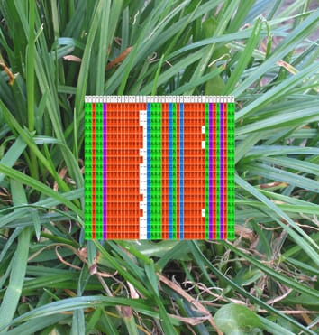 Breeding strategies for forage and grass improvement