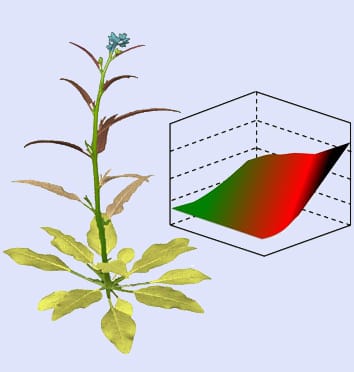 Mechanisms behind optimal defence patterns (Invited Review)
