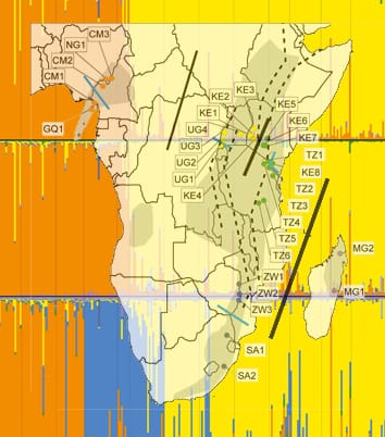 Biogeografía de Prunus africana en bosques afromontanos