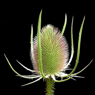 Une histoire salée de la vie sur la route