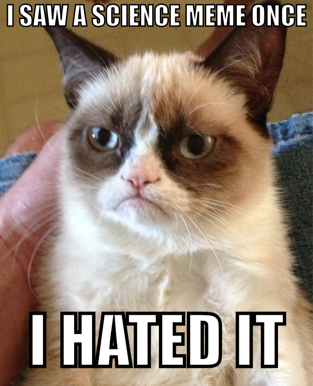 Grumpy Cat
