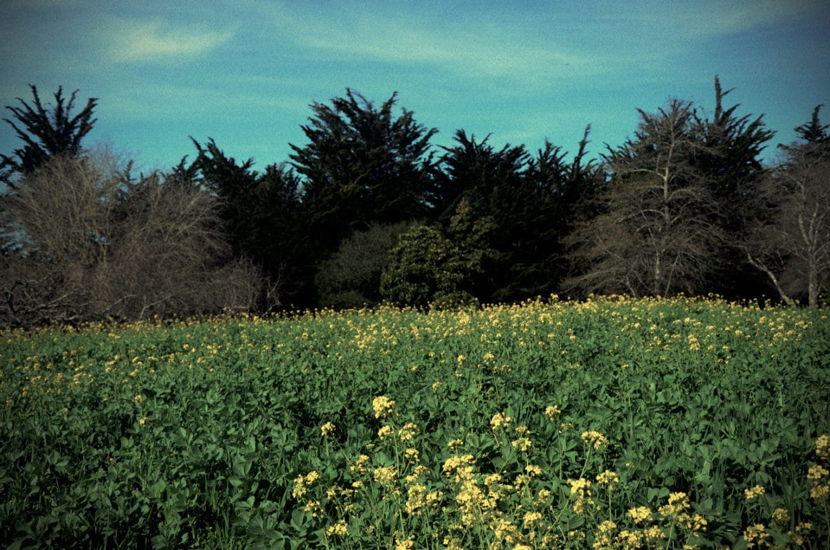 ¿Has dicho, agroecología?