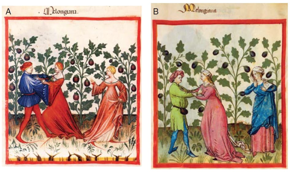 Aubergines inciting lust in medieval times.