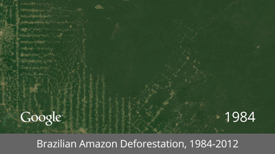 Deforestación del Amazonas