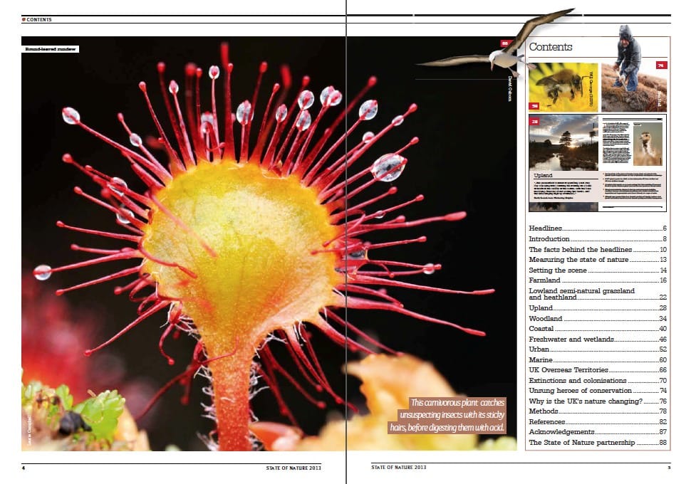 Sundew and the contents of the State of Nature report.