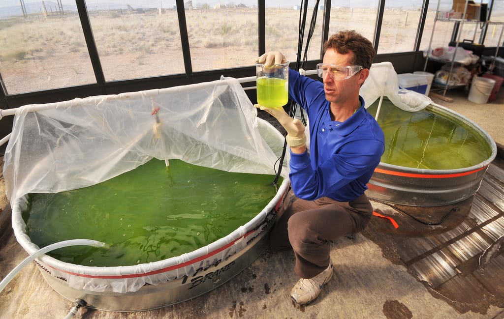 Thinking outside the plant: Plant science with impact