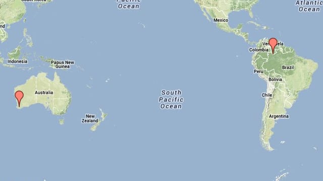 Carte montrant les emplacements des droséras pygmées en Australie et en Amérique du Sud.