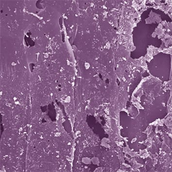 Absorción de metales tóxicos por el arroz